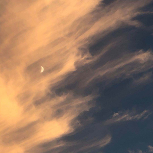 人妻初尝黑人巨鞭在线视频
